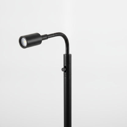 Adjustable Floor Lamp with Reading Light